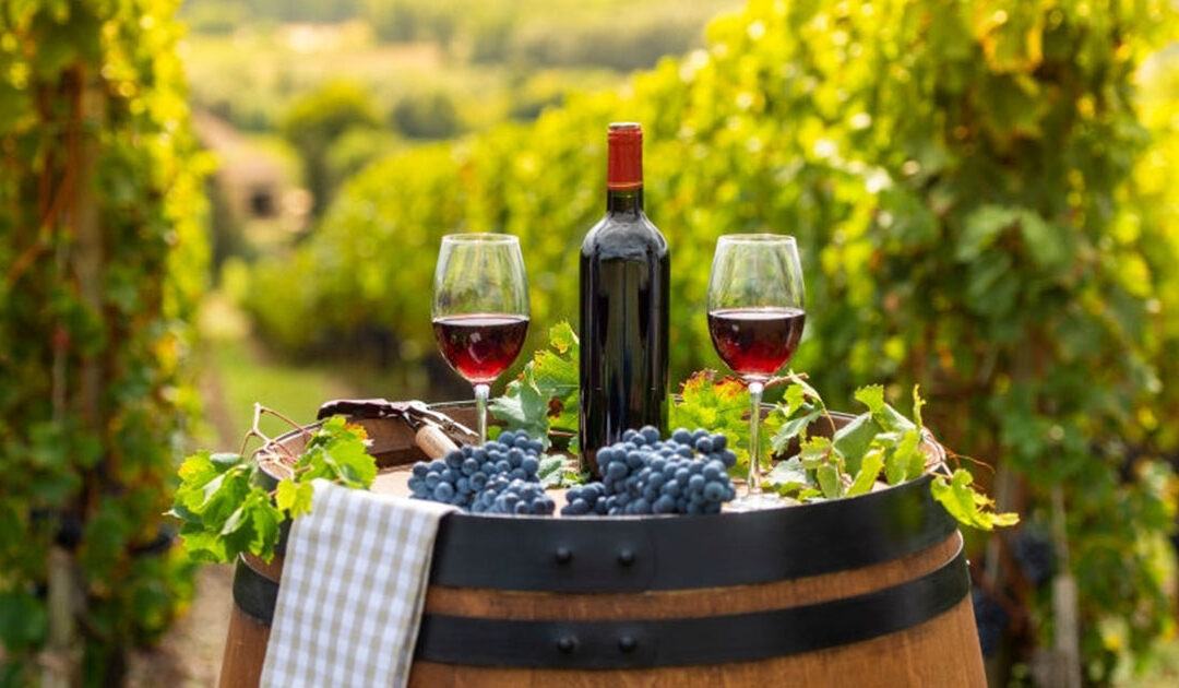 Turismo vinícola para el otoño - viñedo y vinos en Borgoña