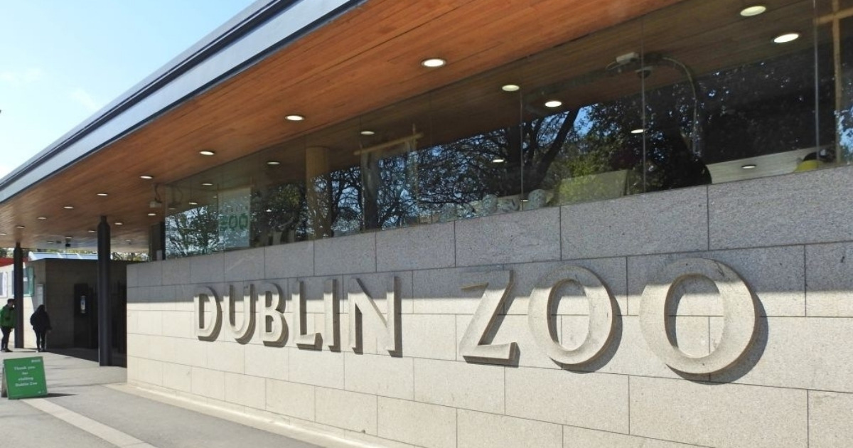  Pasea por el el zoológico de Dublín