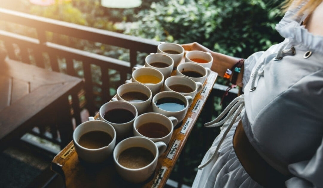 Prueba un café Luwak y sus tés de Bali